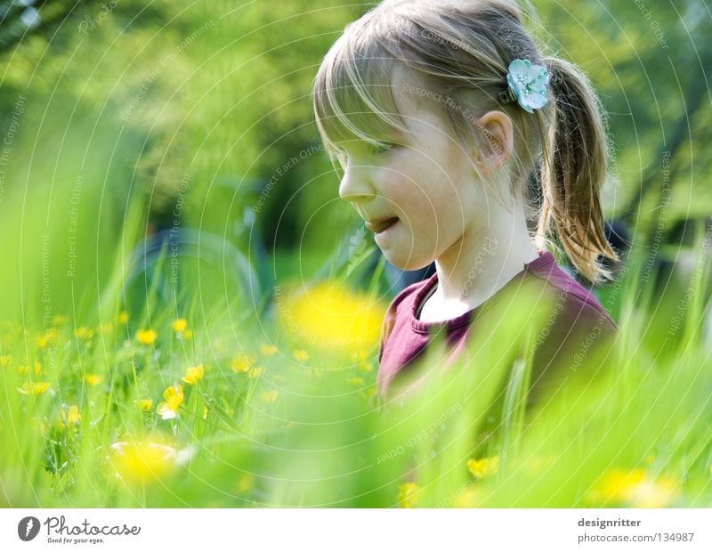 Delicious buttercups! Child Girl Flower Spring Summer Physics Meadow Grass Healthy Pollen Blossom Animal Insect Tick Dreamily Dive Harmonious Search Find