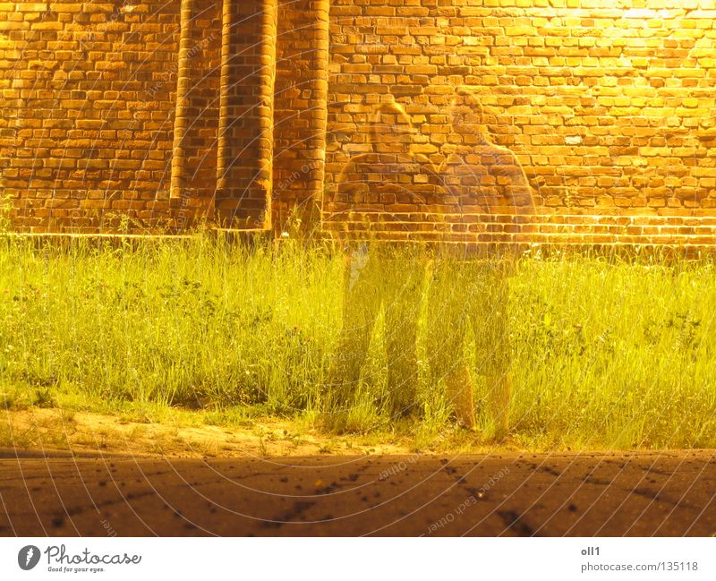 Imaginary present Penitentiary Wall (barrier) Night Yellow Long exposure Ghosts & Spectres  Hologram Transparent Meadow Grass Stone floor Brick Woman Man