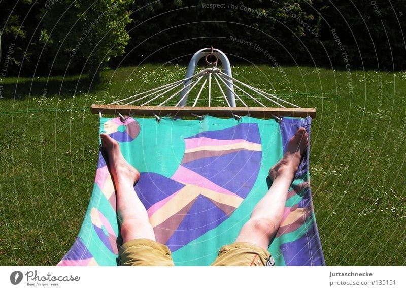 relaxation Hammock Relaxation Goof off Sunbathing Brown Green Multicoloured Cozy Comfortable Grass Meadow Quality of life Summer Contentment Legs Feet Garden