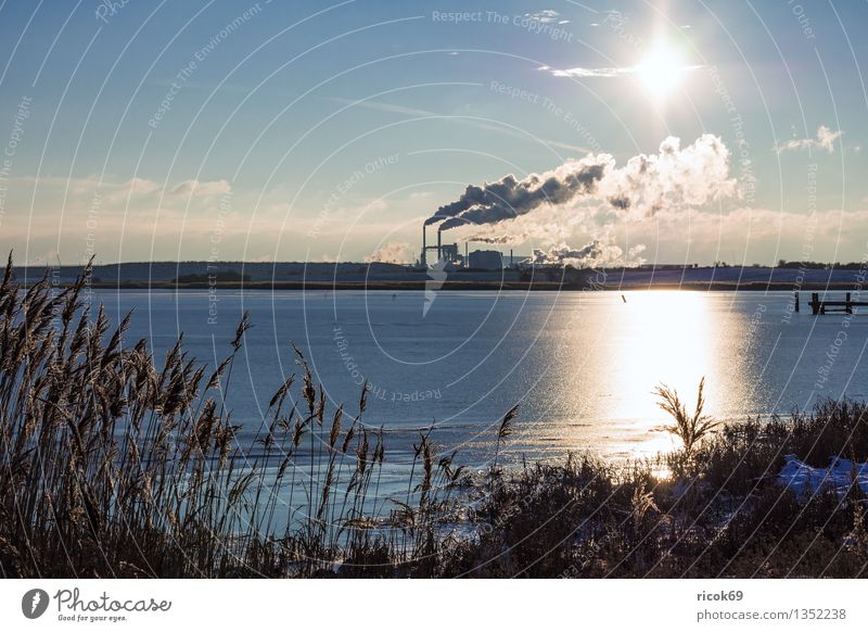 industrial zone Sun Energy industry Coal power station Environment Nature Landscape Water Clouds Coast Baltic Sea Chimney Smoke Climate Industry