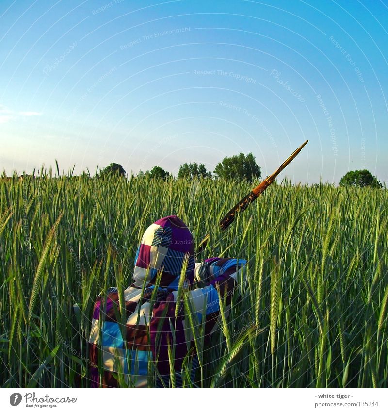 On the lookout Grain Hunting Human being Sky Clouds Tree Observe Blue Green Violet White Tepid Striped Cyan Vest Hooded (clothing) Hunter Weapon Archer