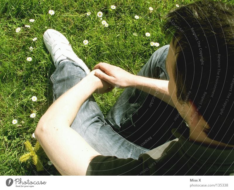 Happy 30th anniversary. Colour photo Exterior shot Man Adults Arm Legs Spring Flower Grass Meadow Think Dream Wait Green Lovesickness Longing Flower meadow Miss