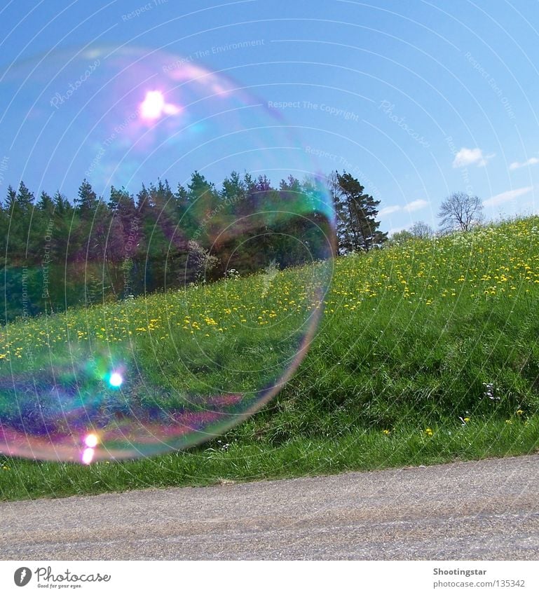 windswept Soap bubble Bursting Flower meadow Forest Round Glittering Summer Spring Bubble Lanes & trails Wind