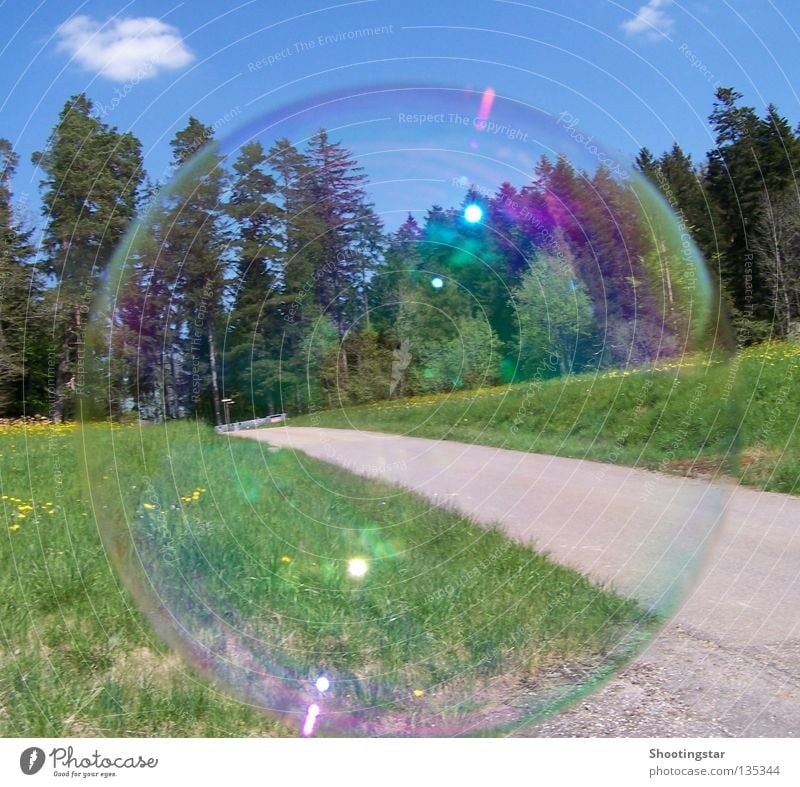 soap bubble Soap bubble Meadow Forest Round Glittering Green Spring Lanes & trails Sky Blue