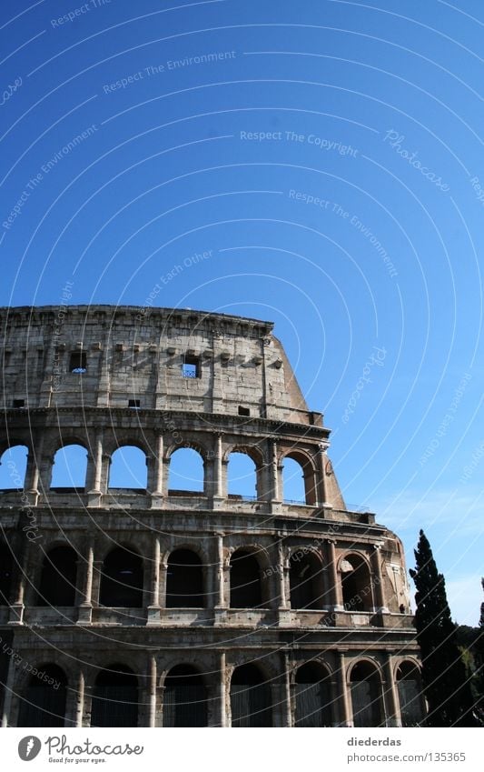Broken Colossus Colour photo Exterior shot Copy Space top Sunlight Front view Education Art Culture Manmade structures Historic Rome Europe Italy Ancient