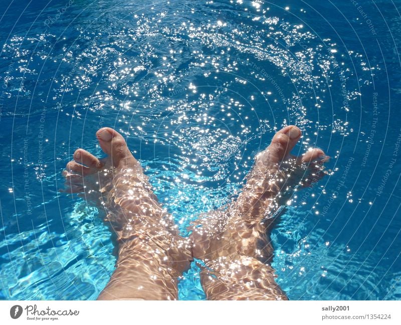 aquagym Vacation & Travel Summer Summer vacation Sun Sunbathing Swimming & Bathing Feet 1 Human being Movement Relaxation To enjoy Playing Happy Wet Blue Joy