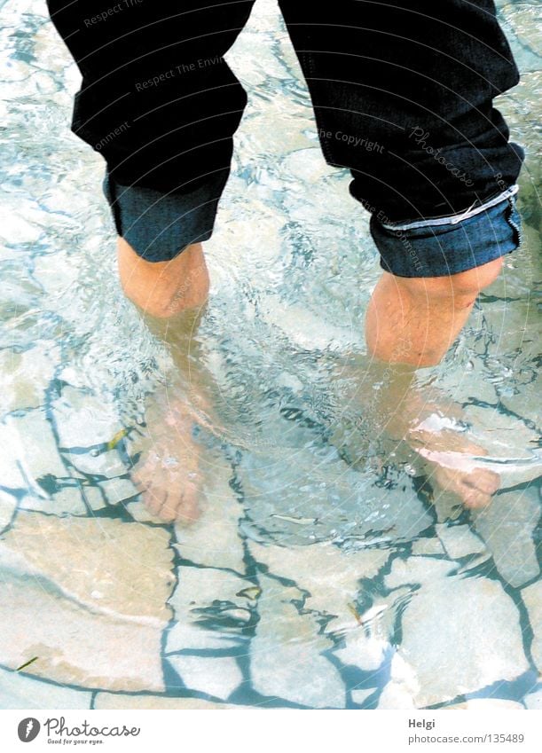 Men's legs in water while treading water with jeans rolled up Wet Cold Healthy Wellness Blood circulation Tread Going Calf Tibia Toes Knee Pants Trouser leg