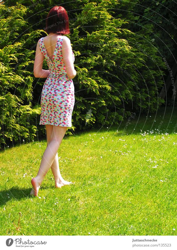 diva Woman Going Diva Grass Meadow Summer Summer dress Dream Dreamily Think Beautiful weather Physics Contentment Lawn flower dress Small Garden Warmth