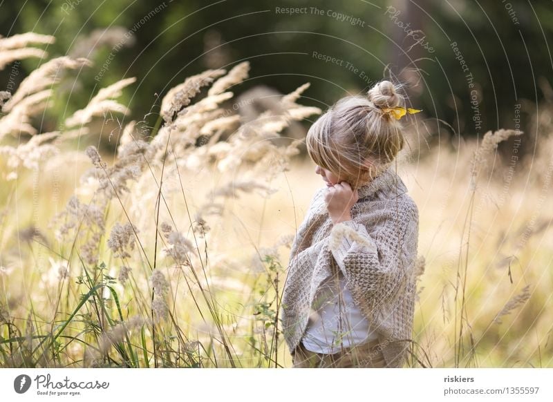 Autumn is here! Human being Feminine Child Girl Infancy 1 3 - 8 years Environment Nature Plant Beautiful weather Wind Grass Forest Discover Relaxation