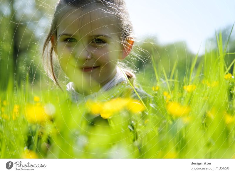 flower child Child Girl Flower Spring Summer Physics Meadow Grass Healthy Pollen Blossom Animal Insect Tick Dreamily Dive Harmonious Search Find Dandelion