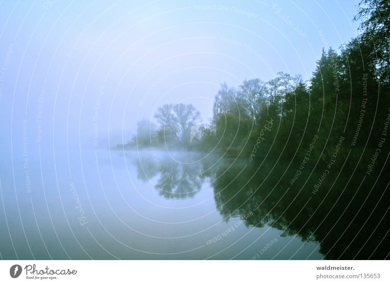 Fog at the lake Blue Green Lake Body of water Sky Tree Reflection Morning Twilight Morning fog Autumn Cold Mystic Romance Calm Fishing (Angle) Water Dawn