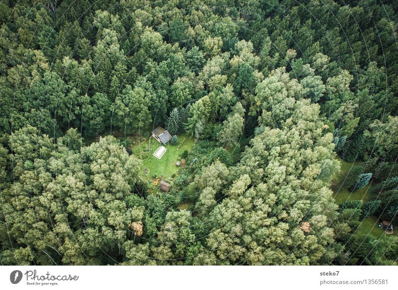 Top Forest Detached house Hut Garden Discover Green Loneliness Uniqueness Nature Survive Hiding place Hermit Aerial photograph Deserted Copy Space left