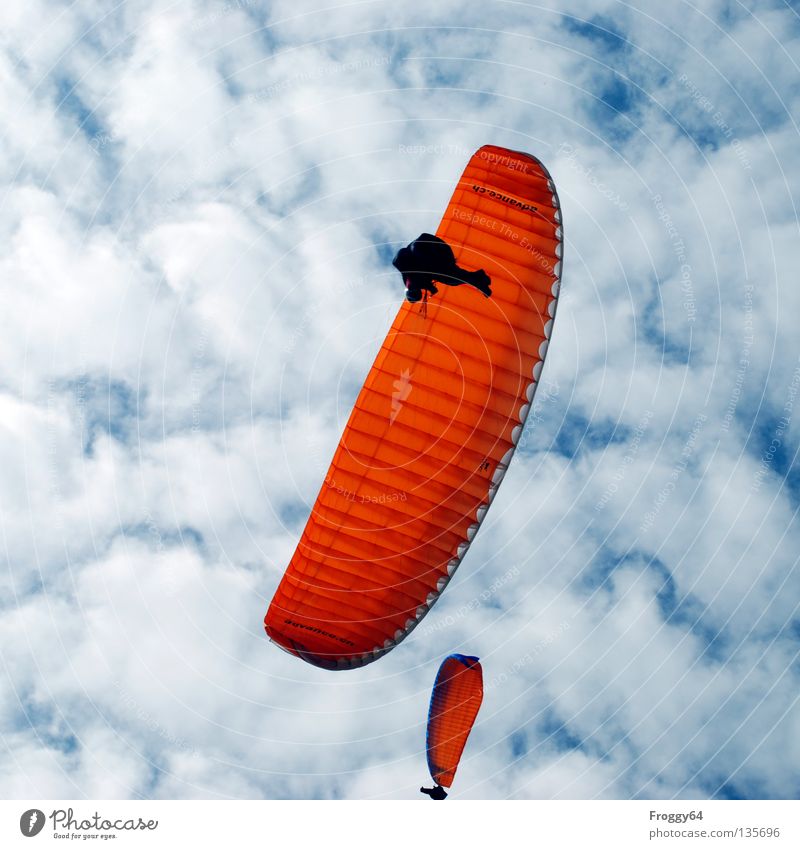 Under the clouds! Paraglider Air Clouds Pilot Black Schauinsland Bird Leisure and hobbies Sky Flying Aviation Blue Orange Wind Weather Mountain