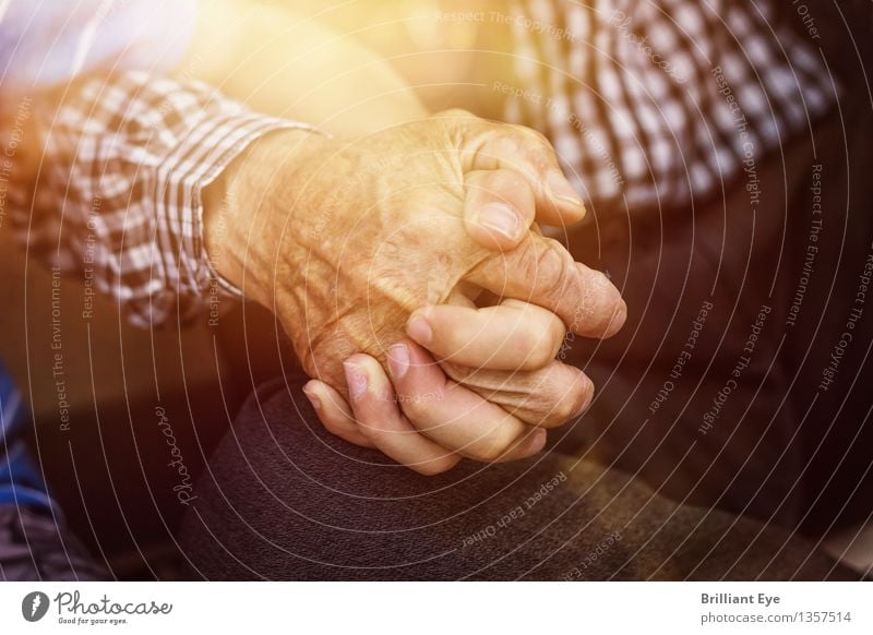 Together Summer Human being Boy (child) Family & Relations Senior citizen Life Hand Fingers 2 Nature Sun Sunlight Spring Old Touch Love Emotions Compassion