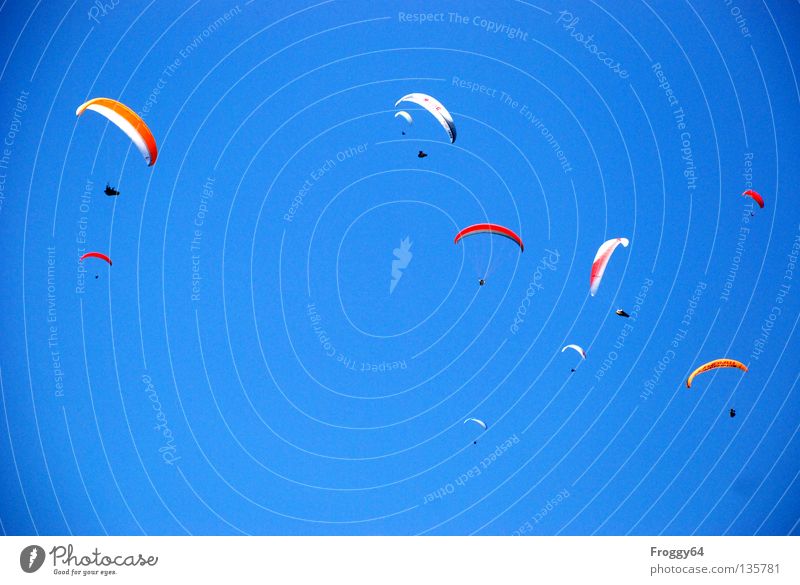 poultry Paraglider Air Clouds Pilot Black Schauinsland Bird Sporting event Multicoloured Sports Playing Extreme sports Aviation Sky Blue Orange Wind Weather