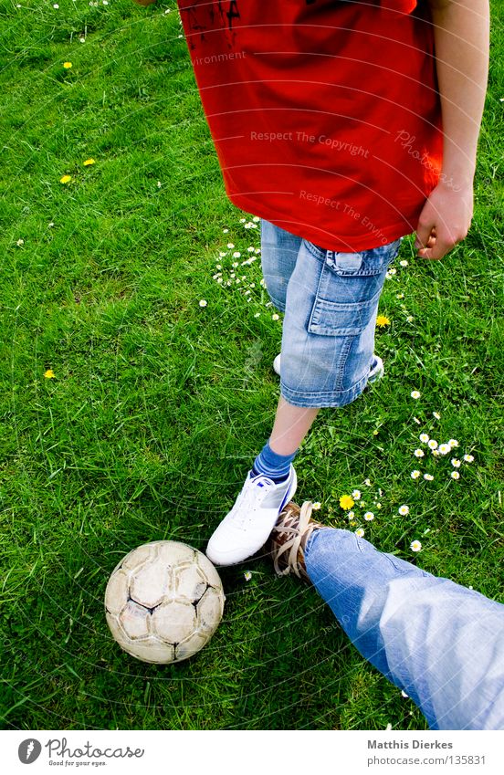 straddling Ball sports Summer Meadow Daisy Plant Green Green undertone Pants Jeans Footwear Leather shoes Soccer Leisure and hobbies Spontaneous Sports Air Duel