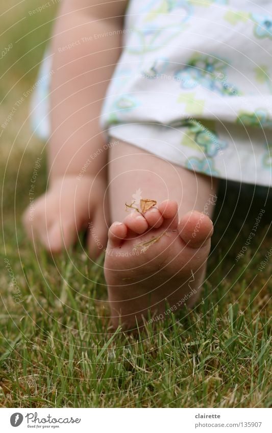 moss to foot Colour photo Multicoloured Exterior shot Summer Child Human being Baby Toddler Arm Hand Legs Feet 1 0 - 12 months 1 - 3 years Spring Grass Meadow