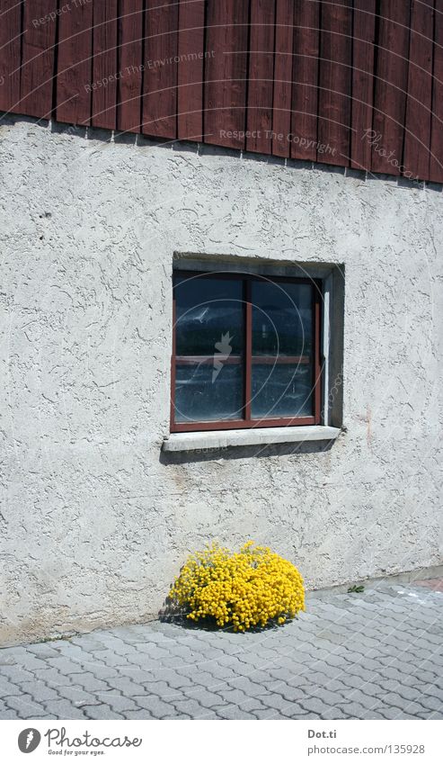 Holidays at Einödhof House (Residential Structure) Plant Deserted Building Facade Window Wood Simple Gloomy Yellow Gray Colour Symmetry Survive Farm Barn