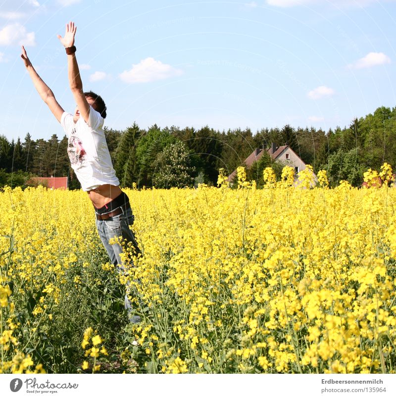 The last jump into the sea Oilseed rape oil Summer Field Flower Jump House (Residential Structure) Green Clouds Spring Joy Freedom Blue Sky Beautiful weather