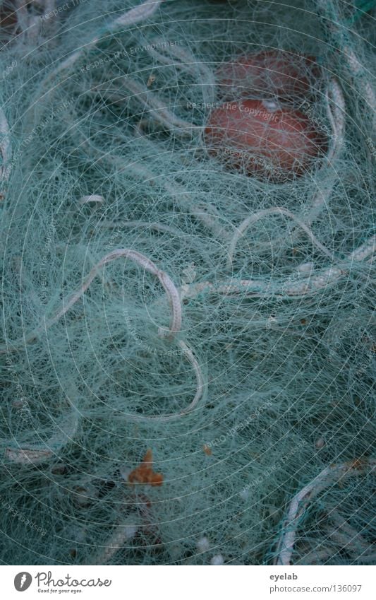 Networked (3rd catch) Rope Nylon Fishing net Fishery Ocean Lake Work and employment Arrange Muddled Knot Fisherman Coast Dry Hang up Nutrition Yellow