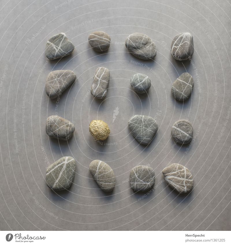 15+1 Souvenir Collection Collector's item Stone Gold Gray Super Still Life Pebble Flotsam and jetsam Discovery knolling Square Classification Exceptional