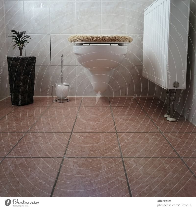 Toilet neatly arranged Body Calm Fragrance Living or residing Flat (apartment) Interior design Toilet seat Tile Crouch Make Cleaning Sit Dirty Disgust Fresh