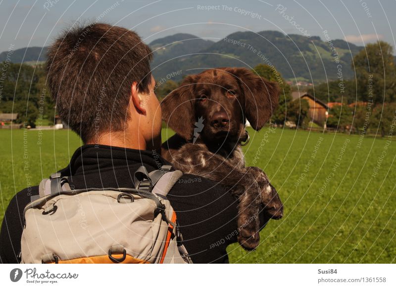 consideration Human being Masculine Back of the head 1 30 - 45 years Adults Tree Grass Meadow Pre-alpes Backpack Short-haired Pet Dog Animal face Hound