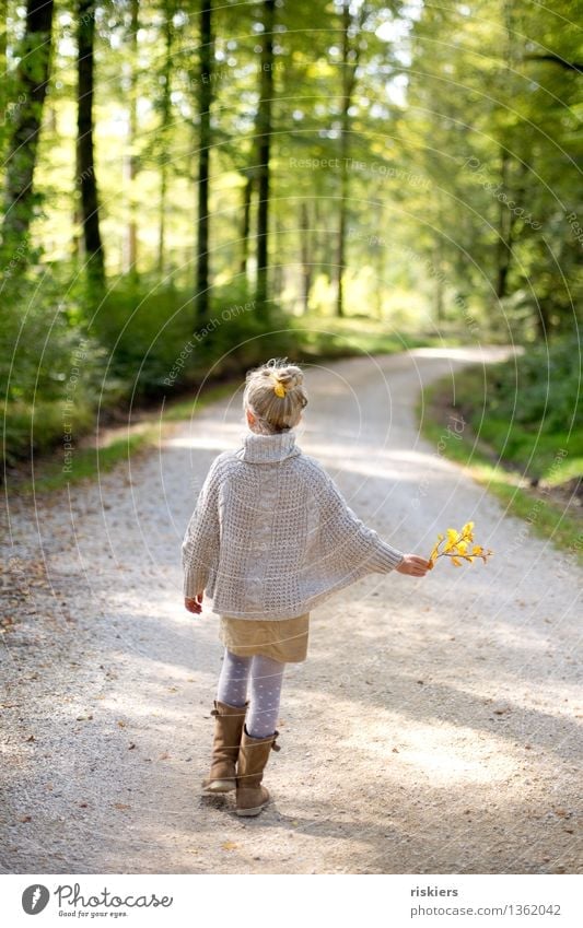 autumn child Human being Feminine Child Girl Infancy 3 - 8 years Environment Nature Plant Autumn Beautiful weather Forest Relaxation Going Hiking Friendliness