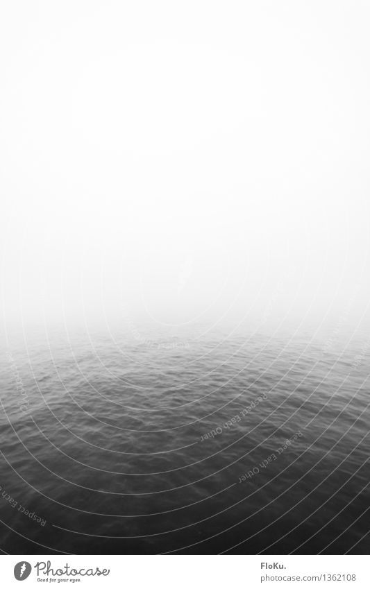 rest Elements Water Sky Autumn Weather Bad weather Fog Waves Coast Ocean Lake River Creepy Gray Calm Sadness Death Loneliness Surface of water Shroud of fog
