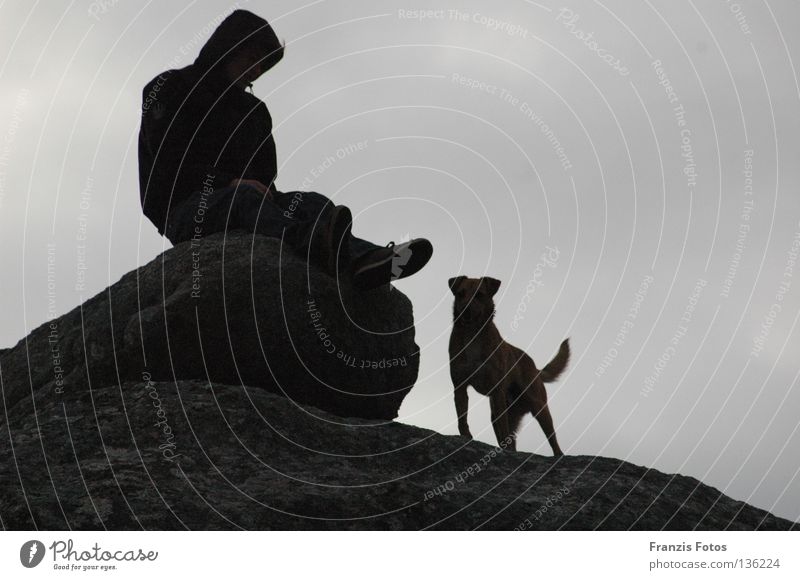 fidelity Dog Loyalty Think Silhouette Vacation & Travel Far-off places Trust Shadow Black & white photo Vantage point
