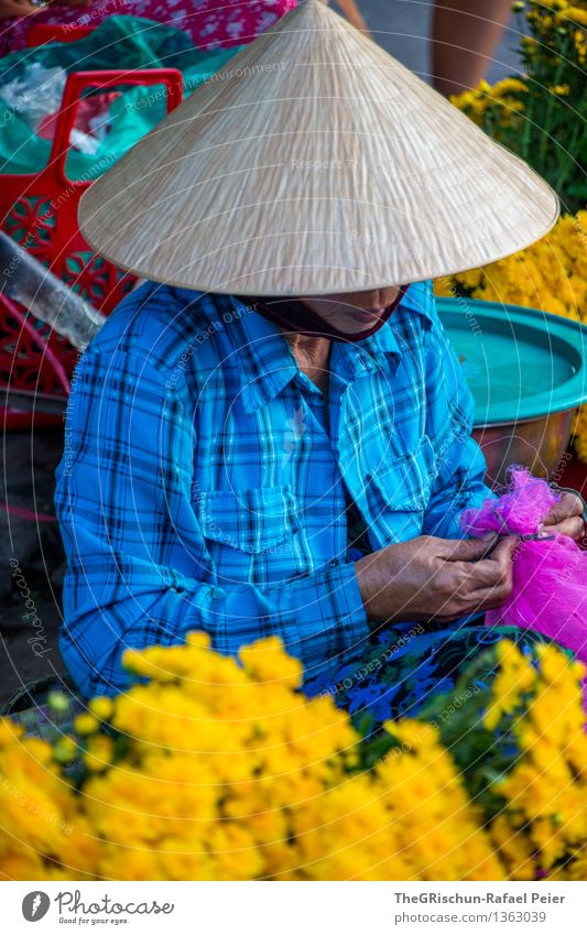 trader Plant Blue Brown Multicoloured Yellow Gold Violet Pink Red Black Sell Markets Flower Vietnamese Woman Hat Hoi An Handcrafts Colour photo Exterior shot