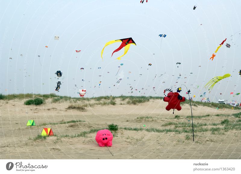 Kites, big kites, wind kites, Leisure and hobbies Playing Handicraft Vacation & Travel Beach Island Pilot Landscape Air Cloudless sky Wind Coast Sail Aircraft