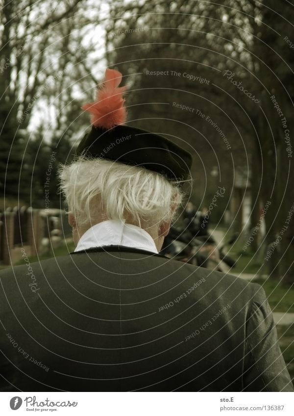 red feather Man Masculine Cap Rear side Back of the head White White-haired Red Suit Avenue Tree Traffic infrastructure Clothing Human being Hat Backwards