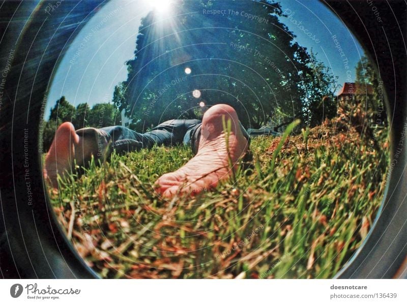 lying in the green grass... Relaxation Summer Sun Feet Tree Meadow Sleep Lomography Wide angle Fisheye Sole of the foot Lens flare Back-light Sunbeam Sunlight