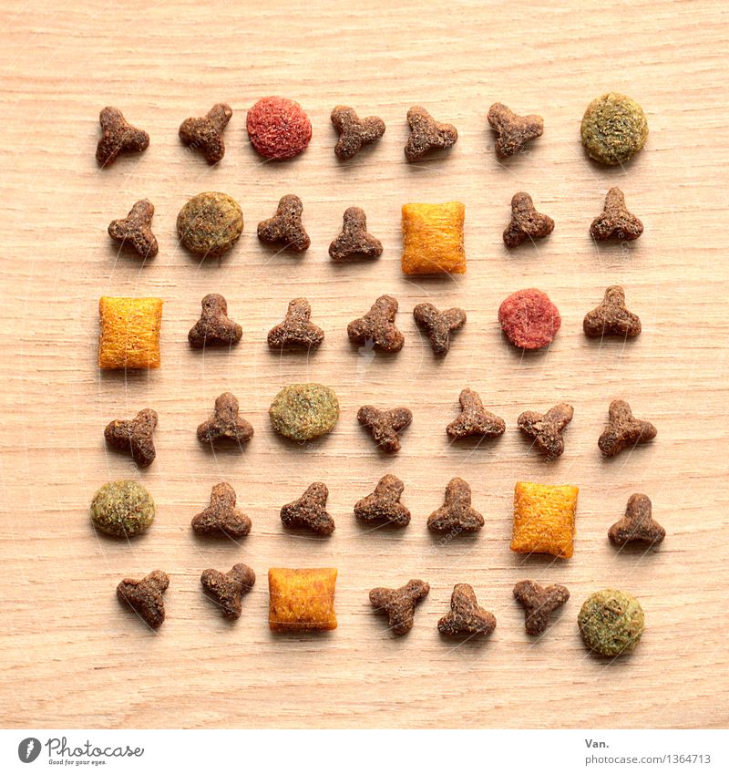 Cat food, mixed up Meat dried fodder To feed Triangle Rectangle Round Small Delicious Brown Yellow Green Red Colour photo Multicoloured Interior shot Close-up