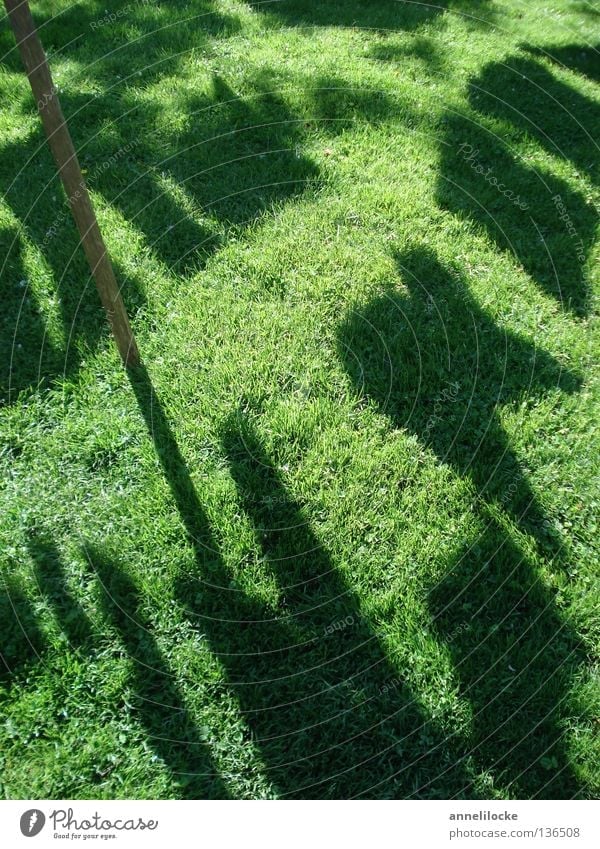 today is laundry day Meadow Grass Green Black Laundry Clothing Hang up Visual spectacle Shadow play Light Household Lawn hung Contrast rags launder sun