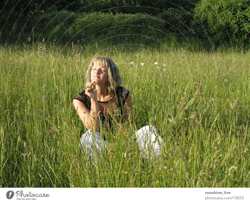 Grass Whispering Part2 Meadow Flower Relaxation Summer Woman chilling