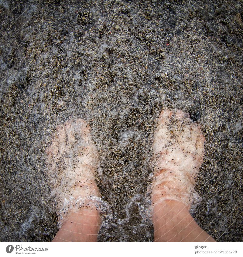 Cold feet in water Feet 1 Human being Sand Water Spring Naked Wet Clean Brown Gray Skin Toes Tingle Sea water Foot bath Waves Stand marbled Colour photo
