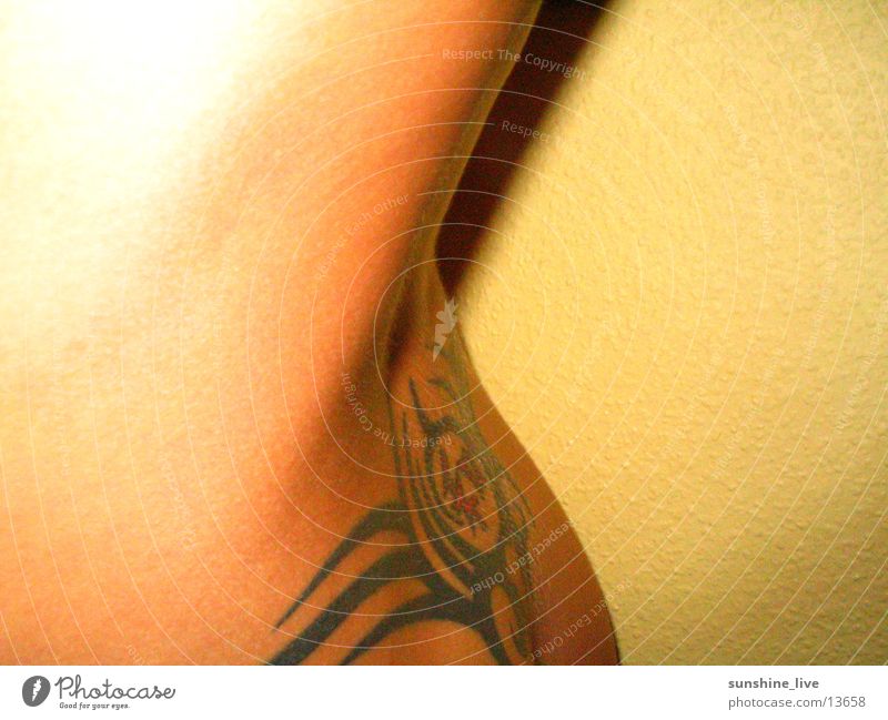 back view Feminine Naked flesh Eroticism Woman Tattoo Back