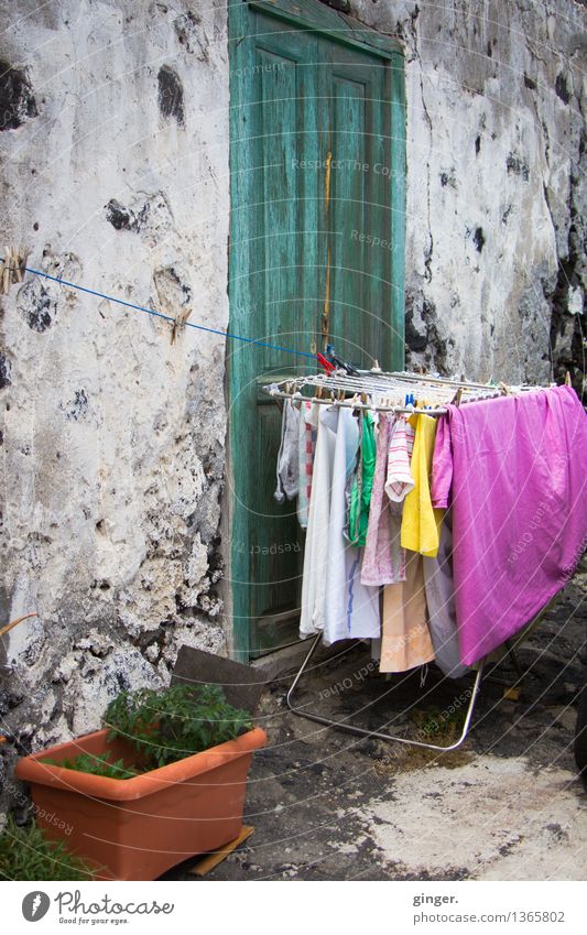 Laundry is ready Stone Green Pink Wall (building) Door Plant washer corner Clothesline Dry Gray Rope Hollow crimson Completed Practical Untouched Colour photo