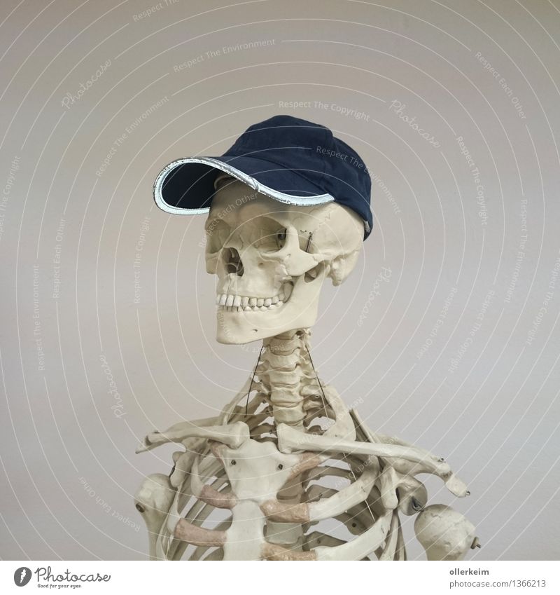 Skeleton - cool type II Sports Sportsperson Body Head Hat Cap Cool (slang) Blue Gray White Fitness Collarbone Death's head Colour photo Interior shot
