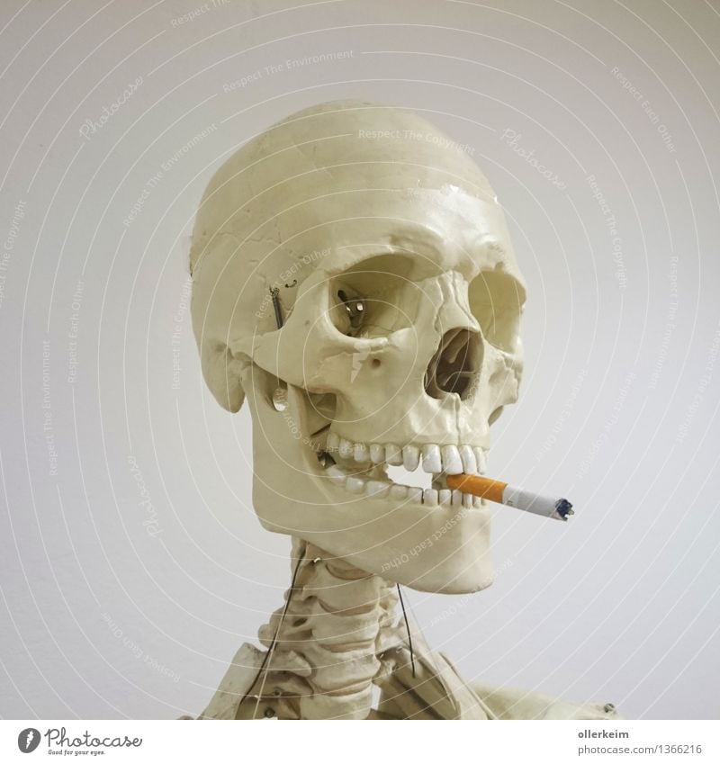 Skeleton - Smoker II Healthy Smoking Human being Body Head Cigarette Threat To enjoy Teeth Set of teeth Death's head Colour photo Interior shot Detail