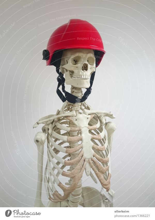 Skeleton - Rescuer in Need Profession Craftsperson Medic Fireman Human being Body Head Teeth Helmet Gray Red White Safety Protection Threat Colour photo
