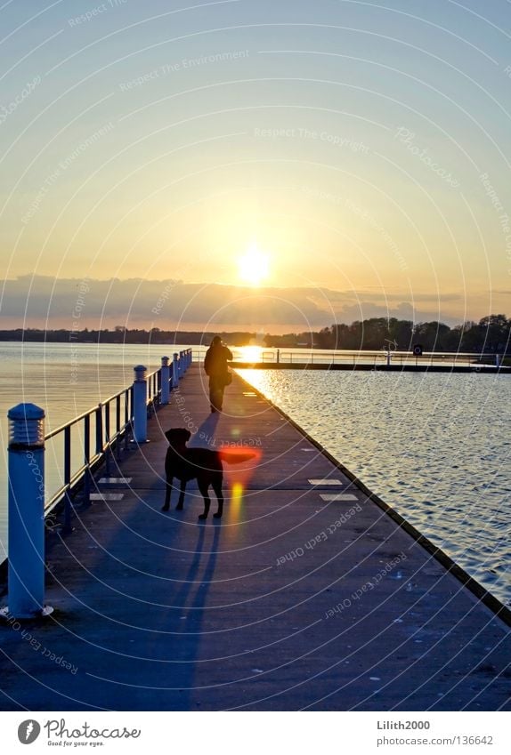 The Evening Dog Footbridge Ocean Lake Black Sunset Yellow Far-off places Horizon Back-light Dazzle Celestial bodies and the universe Lanes & trails Water Shadow
