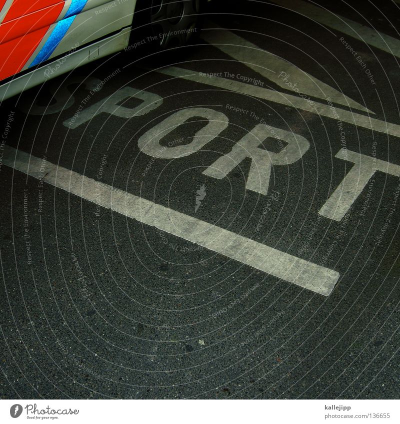 sports car Sports car Typography Parking lot Stripe Gray White Letters (alphabet) Traffic infrastructure Characters Capital letter Latin script Ground markings