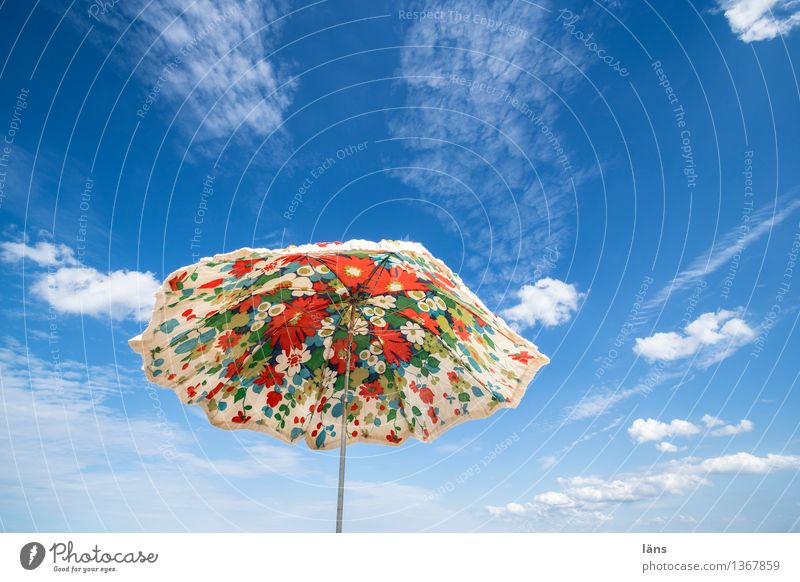 beach day Vacation & Travel Tourism Summer Beach Sky Relaxation Ease Umbrellas & Shades Sunshade Weather protection Sunlight