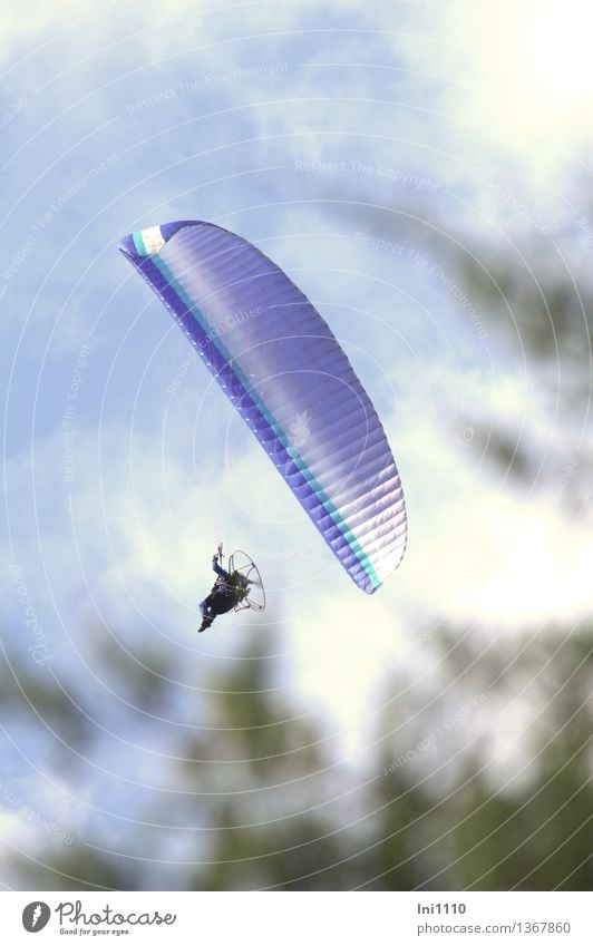 Paragliding Elegant Joy Happy Leisure and hobbies Vacation & Travel Trip Freedom Observe Movement To fall To hold on Flying To enjoy Hang To swing Exceptional
