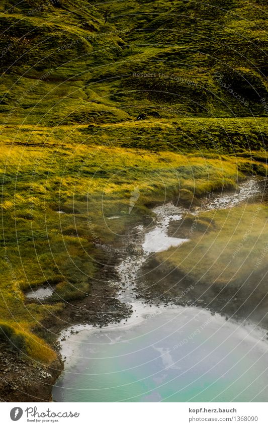 At the source Environment Moss Mountain Brook River water source Iceland Purity Thirst Longing Wanderlust Beginning Contentment Mysterious Hope Inspiration Pure