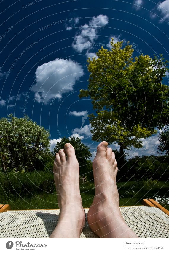 Feet on lounger in front of blue sky Sunday Weekend Vacation & Travel Relaxation Garden plot To enjoy Summer Couch Deckchair Joy Leisure and hobbies