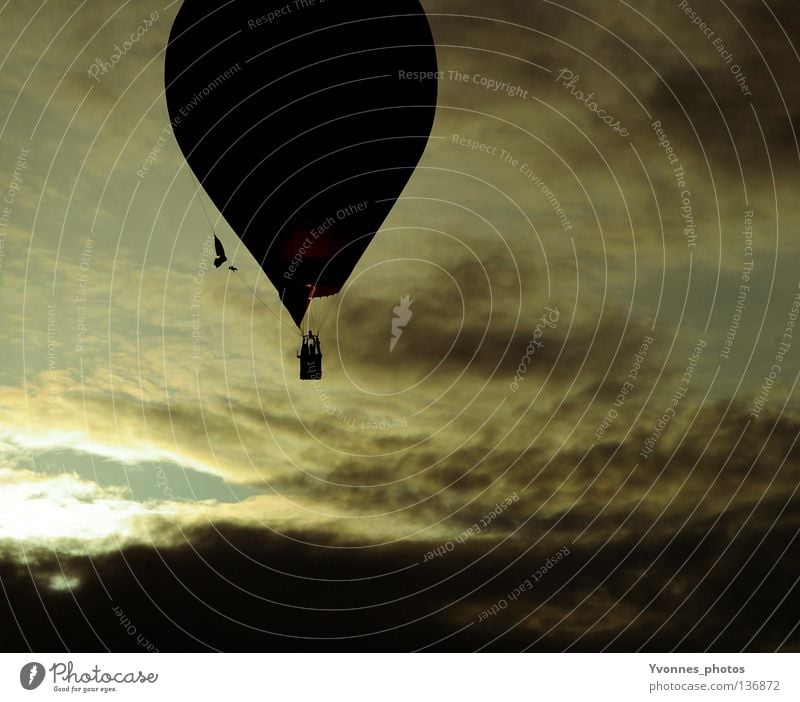Freedom Hot Air Balloon Moody Summer Dark Black Yellow White Clouds Above the clouds Event Events Excursion Driving Pilot Go up Beginning Ease Airplane Hover